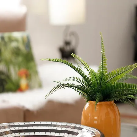 Holiday home Moya Palma de Mallorca